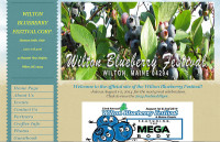 wilton-blueberry-festival